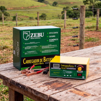 Carregador De Bateria Zebu CB30i Inteligente 600W Com LED Indicador De Carga 35688