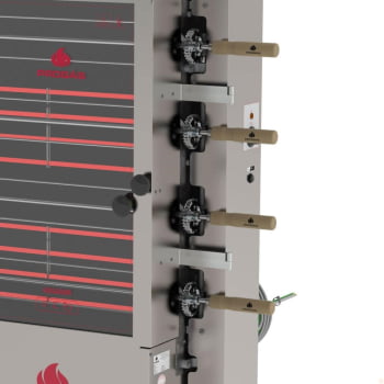 Forno Assador Rotativo Elétrico Progás PR-621 E 4 Espetos 220V P45916